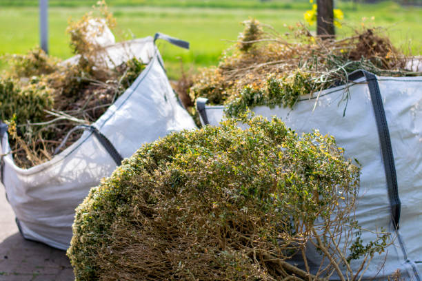 Best Estate Cleanout Services  in Marine City, MI